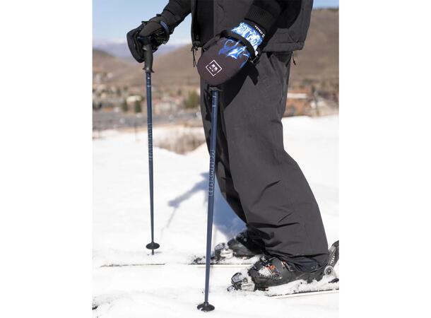 Armada Triad Ski Pole, Blue
