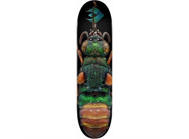 Powell Peralta Flight Skateboard deck Biss Flight Ruby Tailed Wasp 8.5"