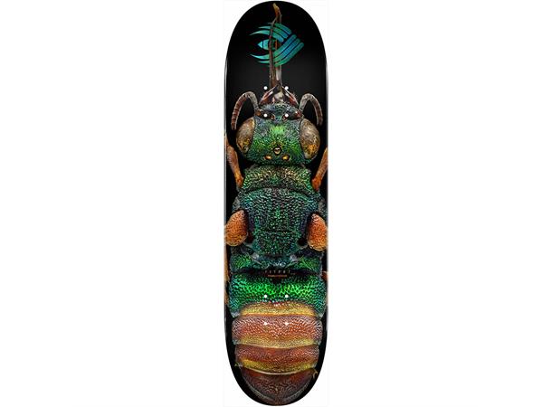 Powell Peralta Flight Skateboard deck Biss Flight Ruby Tailed Wasp 8.5"