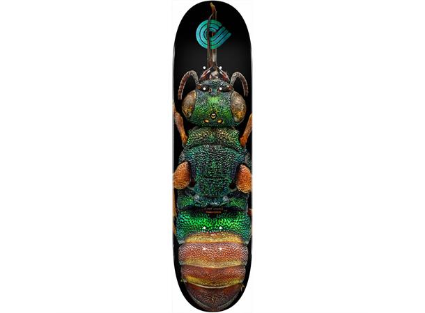 Powell Peralta Skateboard deck Levon Biss Ruby Tailed Wasp 8.5"