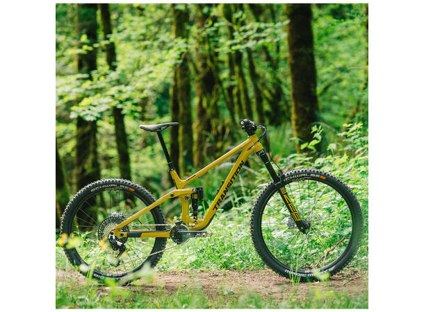Transition Patrol Alloy Eagle 90 Electru Electrum
