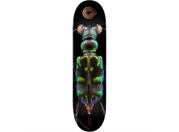Powell Peralta Skateboard deck Levon Biss Tiger Beetle 8.25"