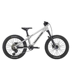 Transition Bandit 20" Hardtail, Raw Raw Alloy