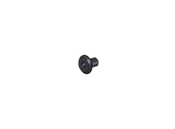 Transition Seatstay Pivot Screw 12mm X 12mm (TRB- SNT-12L)